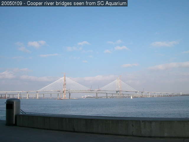 Cooper river bridge