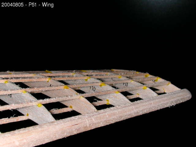 P51 Wing